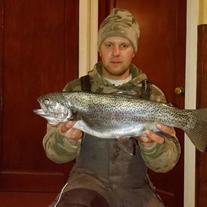 Meet your Posher, Steve